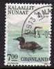 GROENLAND Greenland 1988 Oiseau Bird Yv 172 OBL - Gebruikt