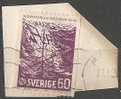 1965-Sweden- "Antenna" 60o Lilac Used On Fragment - Oblitérés