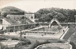 04 MANOSQUE Cpsm Petite Animation La Piscine Municipale       C 82 MAR - Manosque