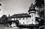 73 YENNE Chateau De La Dragonniere - Yenne