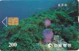 Taiwan, IC8012, Underwater Life, Benthos, 2 Scans. - Taiwan (Formosa)
