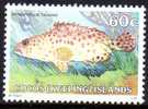 Cocos Islands 1979 Fishes 60c Greasy Grouper MNH  SG 46 - Isole Cocos (Keeling)
