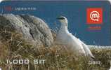 Slovenia Mobile Lagopus Mutus Rock Ptarmigan Bird Birds Grouse Family - Eslovenia