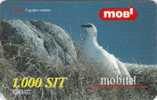 Slovenia Mobile Lagopus Mutus Rock Ptarmigan Bird Birds Grouse Family - Slowenien