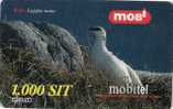 Slovenia Mobile Lagopus Mutus Rock Ptarmigan Bird Birds Grouse Family - Slovénie