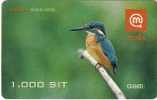 Slovenia Moblie Alcedo Atthis Bird Birds Common Kingfisher - Eslovenia