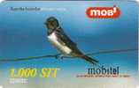 Slovenia Mobile Hirundo Rustica Barn Swallow Bird Birds - Slovenië