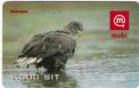 Slovenia Mobile Haliaeetus Albicilla Eagle Falcon Bird Birds - Slowenien