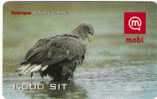 Slovenia Mobile Haliaeetus Albicilla Eagle Falcon Bird Birds - Slovenia