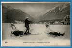 SPORT D'HIVER --  LUGE Et TRAINEAU --Promenade En Ski Et LUGE - Sports D'hiver