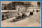 SPORT D´HIVER --  LUGE Et TRAINEAU - Les Sport D'hiver Dans Les Vosges - Descente D'une Pente En Bossleigh - Winter Sports