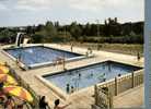 (402) Swimming - Swimming Pool - Natation Et Piscine - Tarn - Gaillac - Nuoto