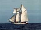 (402) Voile Et Voilier - Sailing & Sailing Boat - Belle Poule - Segeln