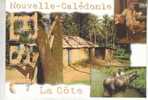 NOUVELLE - CALEDONIE   La Côte  - Magnifique Carte Postale Multivues - Nouvelle Calédonie
