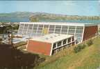 (302) Natation - Swimming Pool - Dunedin, New Zealand - Natation