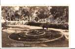 The Floralclock, Tarongapark, Sydney - N.S.W. - Sydney