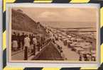 SLOPES AND PROMENADE SHERINGHAM - Andere & Zonder Classificatie