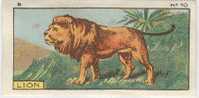 Jacques - 1933 - B10 - Lion, Leeuw - Jacques