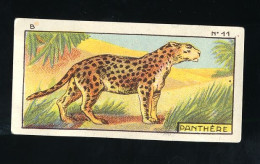Jacques - 1933 - B11 - Panthère, Panther - Jacques