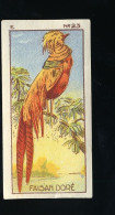 Jacques - 1933 - Oiseau, Birds, Vogels - E23 - Faisan Doré (bend), Golden Pheasant, Goudfazant - Jacques