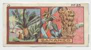 Jacques - 1933 - G23 - Bananier, Bananas - Jacques