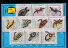 Tortues Reptiles Snakes Serpentes Faune Animals Marine Animaux ROMANA Gc962 - Tortues