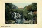 ROYAUME-UNI - JESMOND DENE - CPA - N°10891 - Jesmond Dene, Waterfall - Newcastle-upon-Tyne