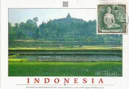 Vue Du Site De Borobudur.  ( Mahayana Buddhist Temple), Carte-maximum Indonesia. - Buddhism