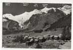 SAAS - FEE Mit Fee-Gletscher. - Saas Im Prättigau