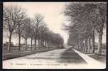 CPA  ANCIENNE- FRANCE- ECOMMOY (72)- LES PROMENADES EN GROS PLAN D'HIVER- - Ecommoy