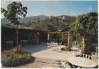 84. Cpsm. Gf. OPPEDE-LE-VIEUX. L'ancienne Cité Romaine Vue De La Terrasse Du Gîte. 618 - Oppede Le Vieux