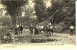 MONTFAUCON - Coteaux De La Guerche - Boeufs Sortant De L'Abreuvoir - Montfaucon