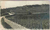 BEAUNE (Côte D'Or) - VUE DE LA COTE DES VIGNOBLES - - Beaune