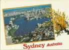 Australie - Australia - Post Card Unused - Sydney - CPM Neuve (**) N° 359 BARTEL - Sydney