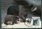 Spectacled Bear. Der Brillenbar. Ours. Beer. WWF. Maximum Card Bolivia 1991. Oso De Los Anteojos.  New!! - Orsi