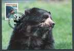 Spectacled Bear. Der Brillenbar. Bril Beer. Ours. Tremarctos Ornatus.Maximum Card Bolivia 1991. WWF. Oso De Los Anteojos - Ours