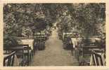 Lorch + Wald-Café Muckensee + Wintergarten + Bes. C.W. Beck + 1937 + - Lorch