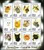 SIERRA LEONE FEUILLET CHATS YVERT N°1667/78 NEUF** (cats Of The World) - Hauskatzen