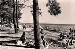 502  ANDERNOS LES BAINS - LE MAURET - La Plage De La Résidence Devant Le Boulevard Du Colonel WURTZ - Andernos-les-Bains