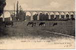 LE BLANC - Le Viaduc - Le Blanc