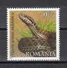 Romania 2011 MNH / Reptiles Of Romania / The Moldavian Meadow Viper - Snakes