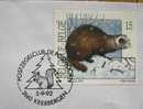 1992 BELGIUM CANCELATION ON COVER 1 SQUIRREL RODENT - Knaagdieren