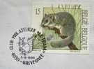 1992 BELGIUM CANCELATION ON COVER 2 SQUIRREL RODENT - Roedores