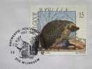 1992 BELGIUM CANCELATION ON COVER 3 SQUIRREL RODENT - Knaagdieren
