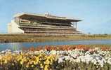 Toronto Course .Spectators   POSTCARD UNUSED FORMATO PICCOLO - Hippisme