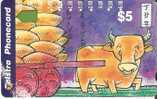 TARJETA DE AUSTRALIA DE UN BUEY (HOROSCOPO AÑO DEL BUEY) - Vacas