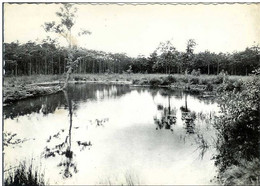 KEERBERGEN-LA MARE-DE POEL - Keerbergen