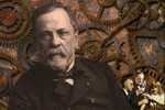 [Y31-20  ]   Chemist And Microbiologist  Louis Pasteur   , Postal Stationery -- Articles Postaux -- Postsache F - Louis Pasteur