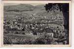 Allemagne - Wittlich Fotal - Vue Du Village Prise Des Collines , Banc à Droite Sous Un Arbre - édition Niko Hass N° 710 - Wittlich