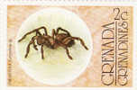 Grenada/Grenadines - Ragni - Spiders